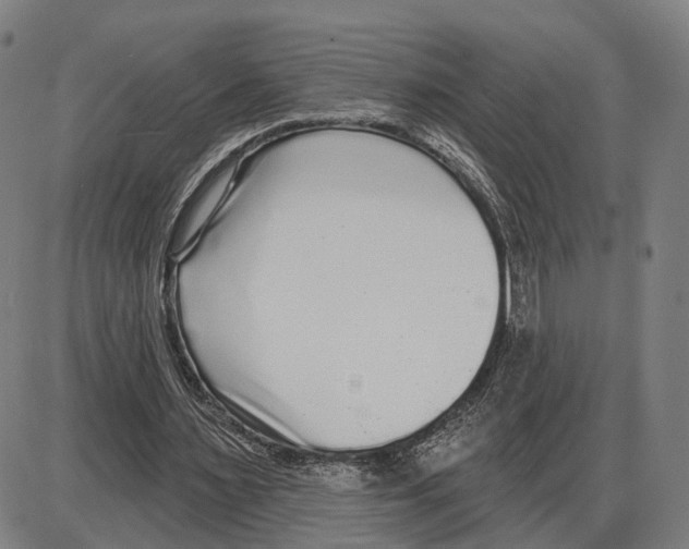 X0000083990483200703161627