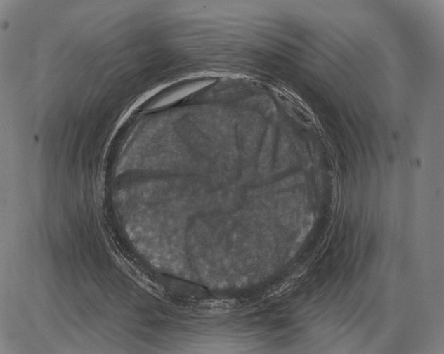 X0000083990484200703161627