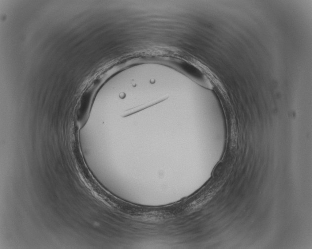 X0000083990485200703161627