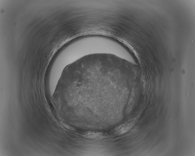 X0000083990487200703161626