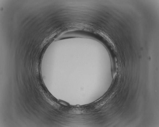 X0000083990489200703161626