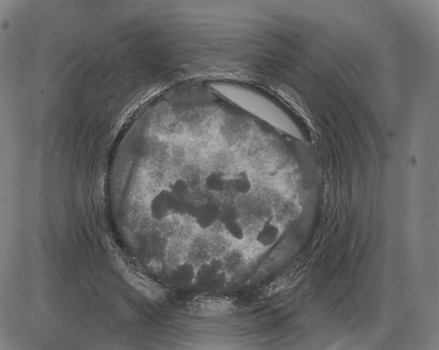 X0000083990491200703161626