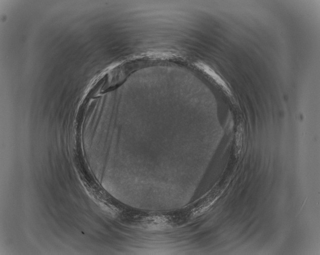 X0000083990492200703161626