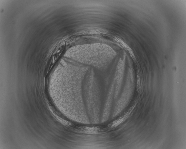 X0000083990493200703161626