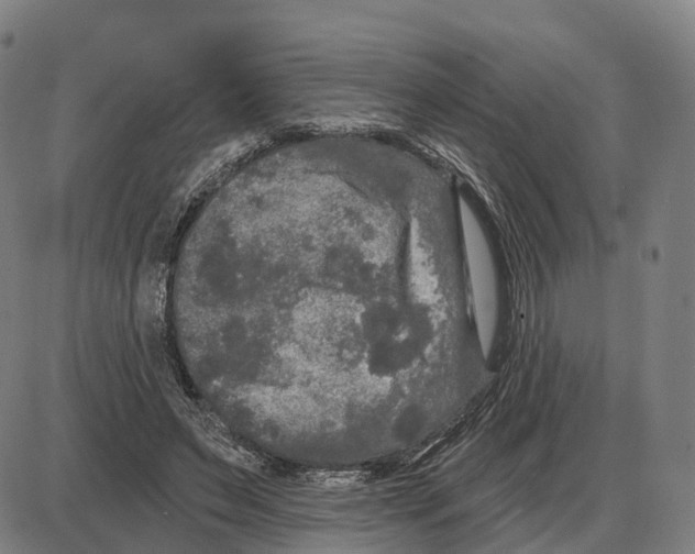 X0000083990495200703161626