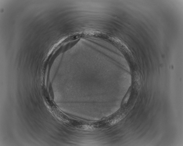 X0000083990496200703161626