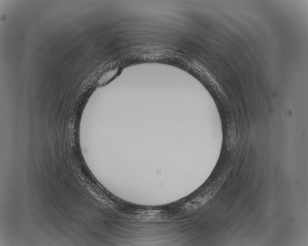 X0000083990497200703161626