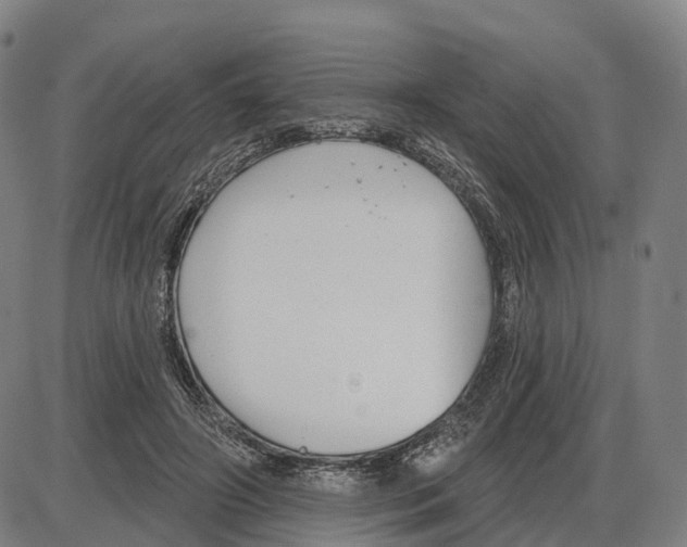 X0000083990498200703161626