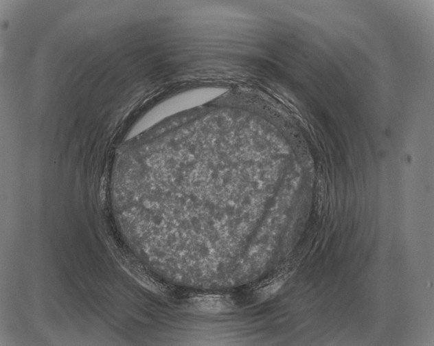 X0000083990499200703161626