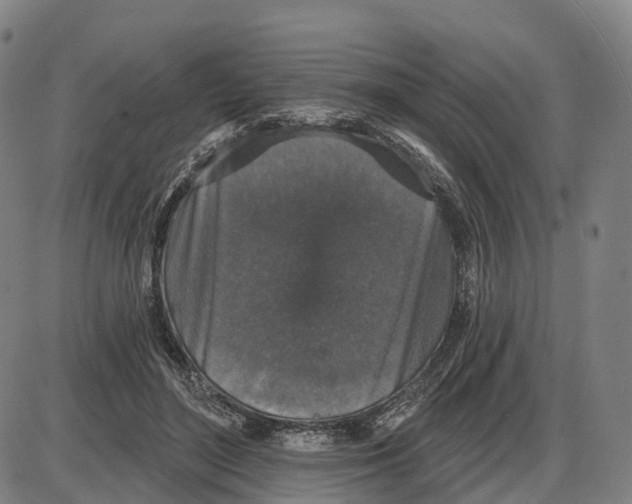 X0000083990500200703161626