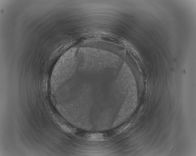 X0000083990501200703161626