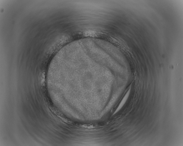 X0000083990502200703161626