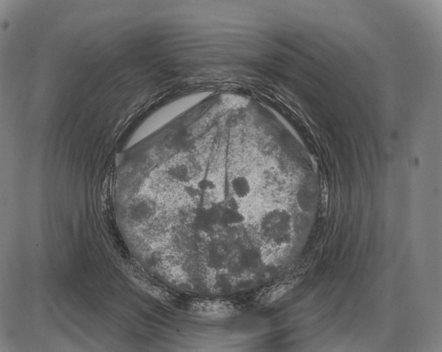 X0000083990503200703161626