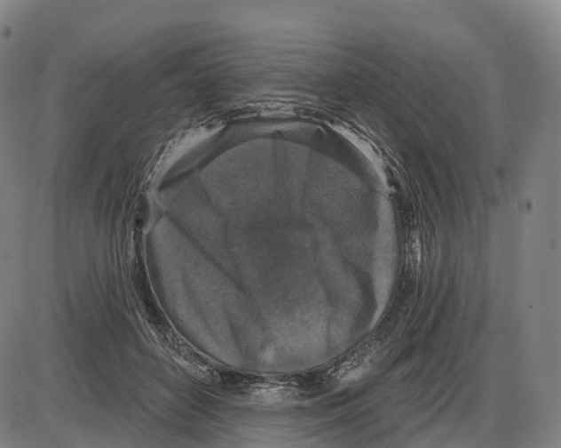 X0000083990504200703161626