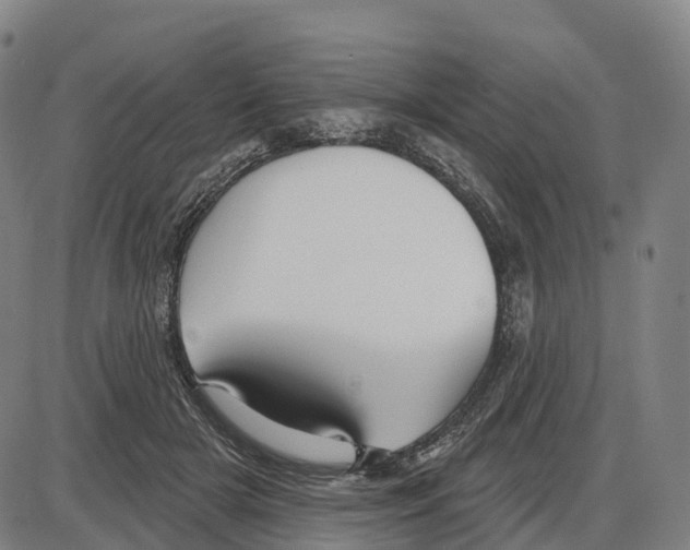 X0000083990505200703161626