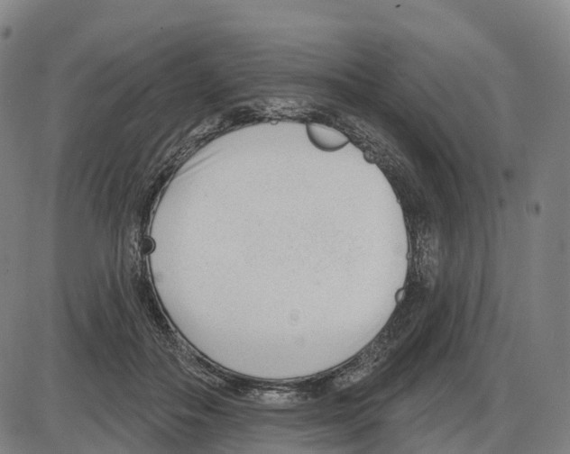 X0000083990506200703161626