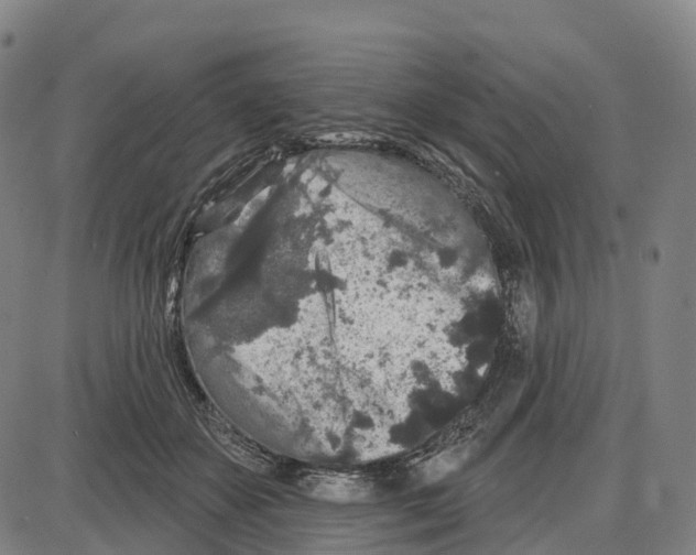 X0000083990507200703161626