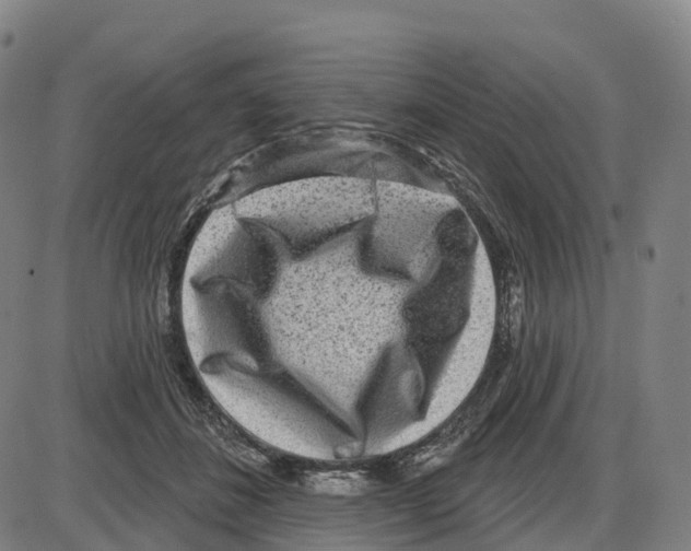 X0000083990508200703161626