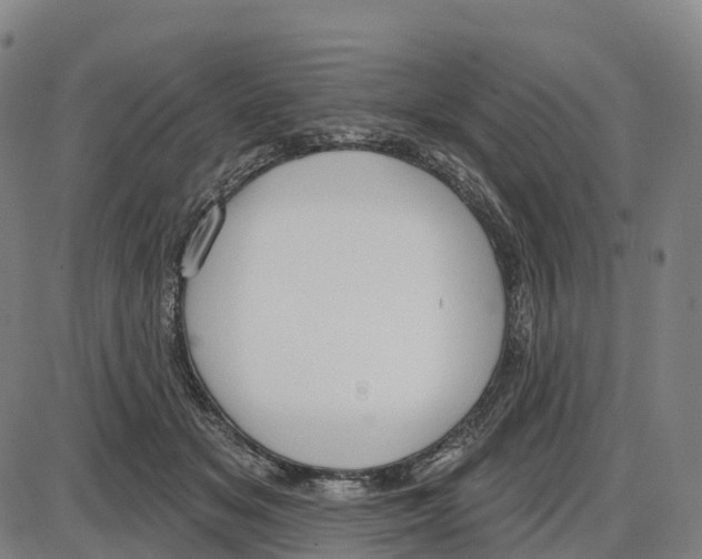 X0000083990509200703161626