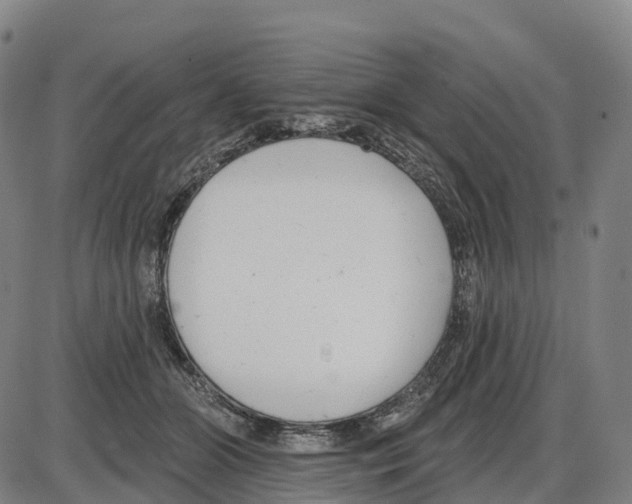 X0000083990510200703161626