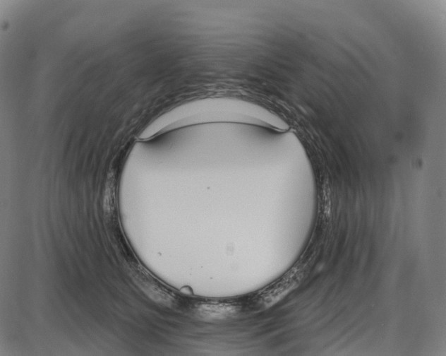 X0000083990515200703161626