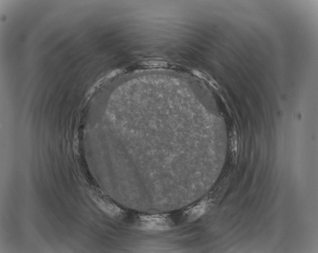 X0000083990516200703161626