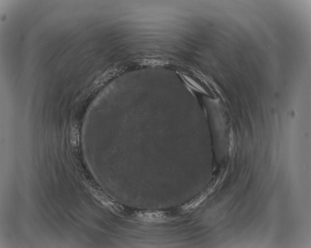 X0000083990517200703161626