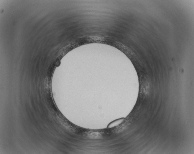 X0000083990518200703161626