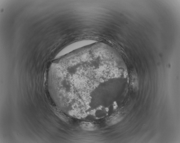 X0000083990519200703161626