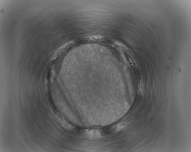 X0000083990520200703161626