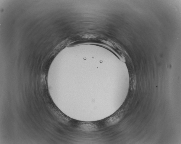 X0000083990521200703161626