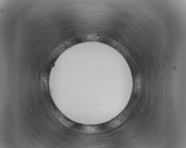 X0000083990522200703161626