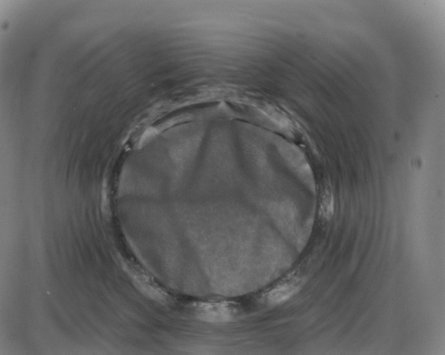 X0000083990524200703161626