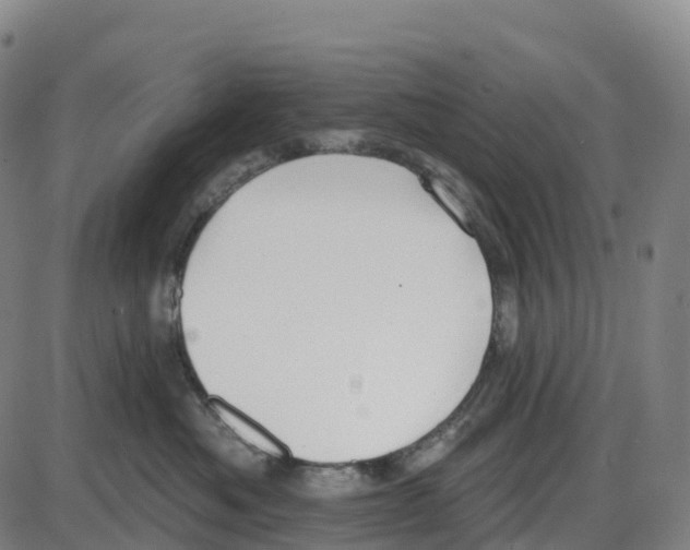 X0000083990525200703161626