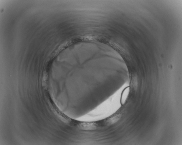 X0000083990526200703161626