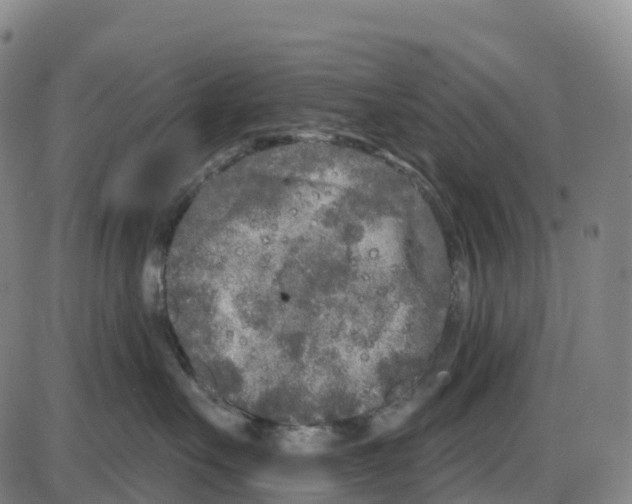 X0000083990527200703161626