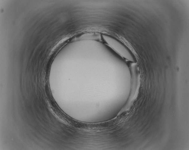 X0000083990530200703161625