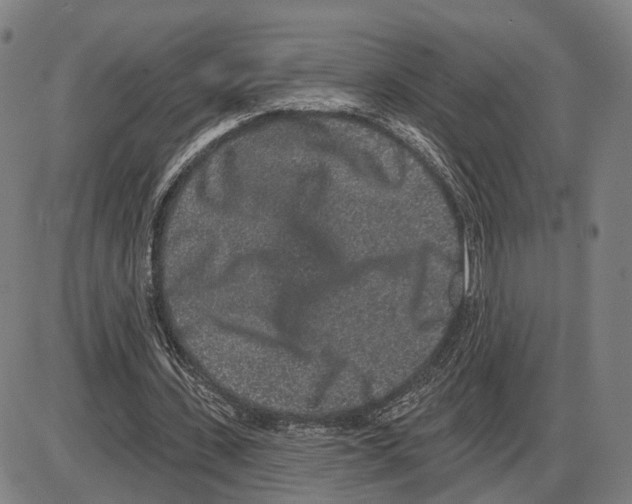 X0000083990531200703161625