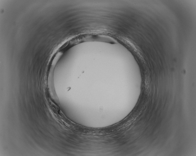 X0000083990532200703161625