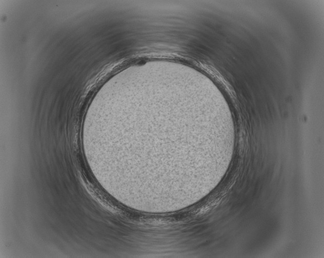 X0000083990533200703161625