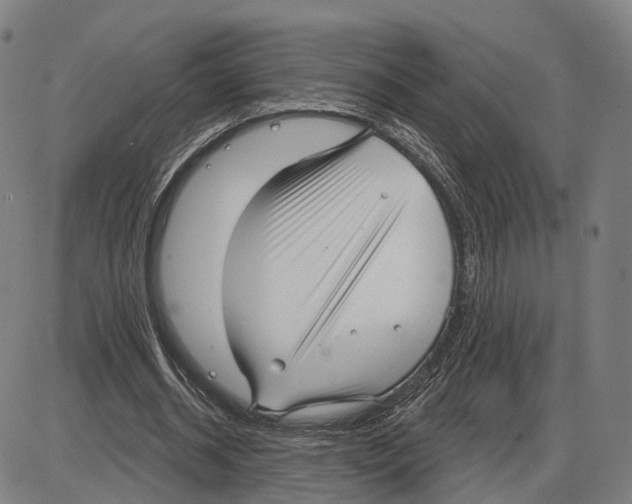 X0000083990534200703161625