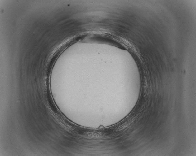 X0000083990535200703161625