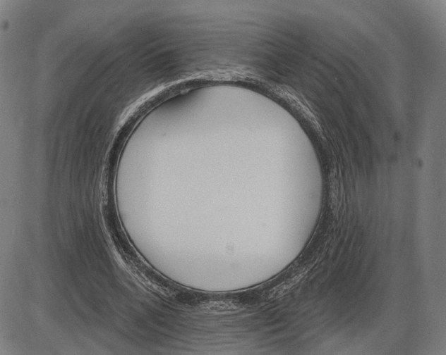 X0000083990536200703161625