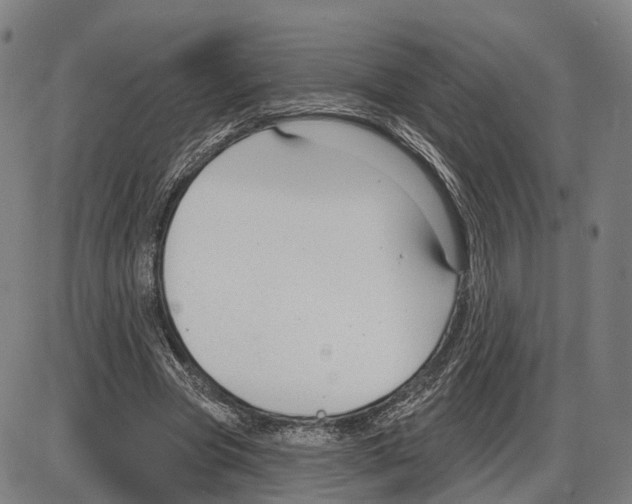 X0000083990537200703161625