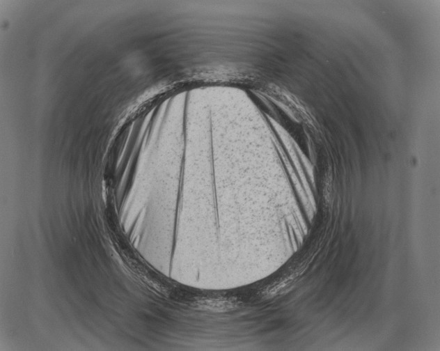 X0000083990540200703161625