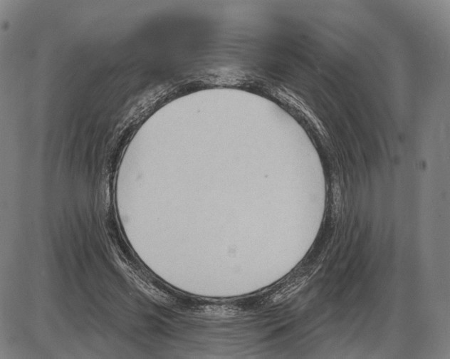 X0000083990541200703161625