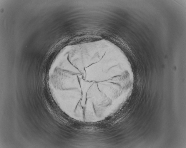 X0000083990542200703161625