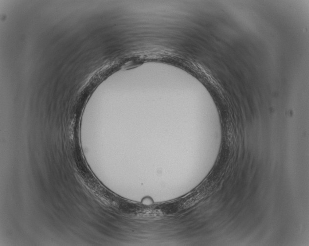 X0000083990543200703161625