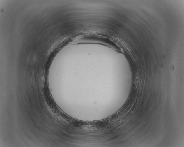 X0000083990544200703161625