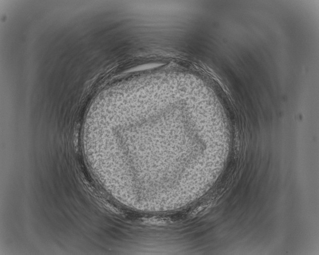 X0000083990545200703161625